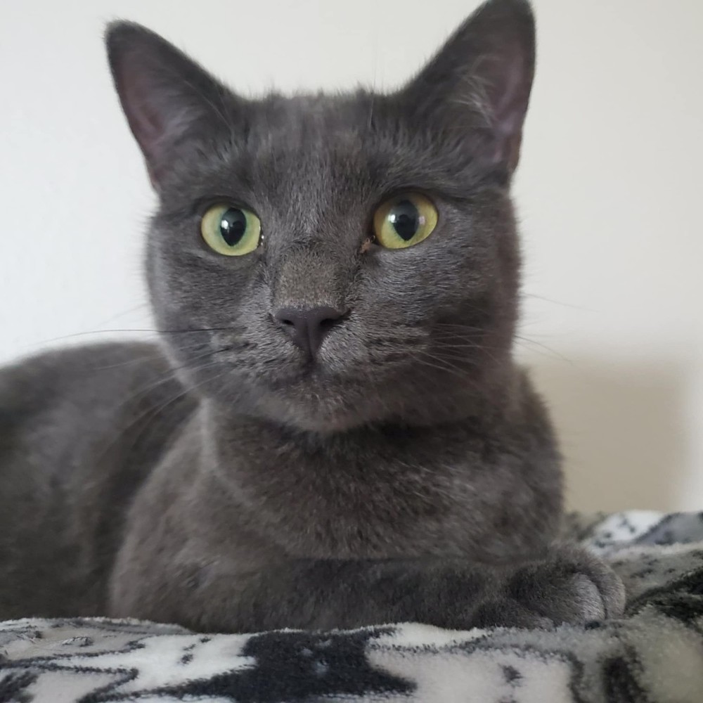 Meet your Posher, Luna
